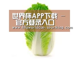 产品名称一