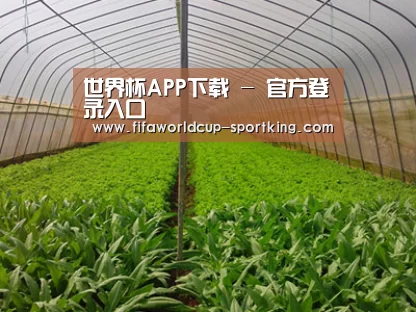 种植基地四