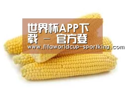 产品名称五