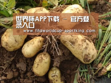 种植基地六
