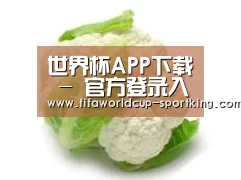 产品名称九