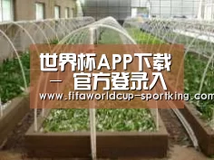 环境展示五