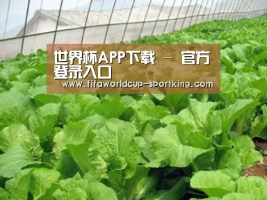 种植基地一