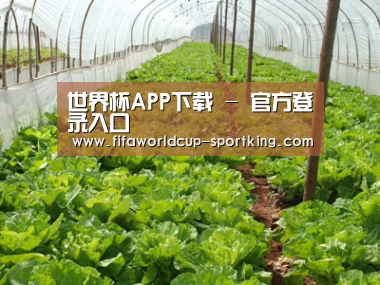 种植基地五