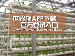 环境展示六