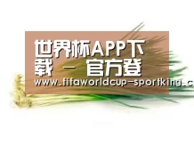 产品名称二