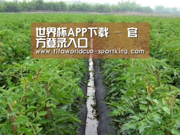 种植基地三