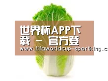 产品名称一(图1)