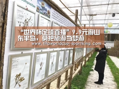 “世界杯足球直播”9.9元游山东半岛,莫把旅游当梦游(图2) FIFA World Cup