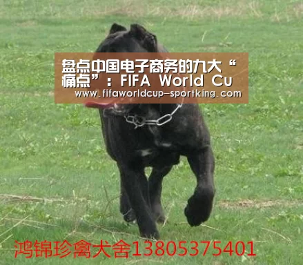 盘点中国电子商务的九大“痛点”:FIFA World Cup(图1) FIFA World Cup