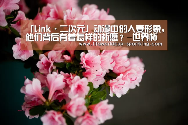 「Link·二次元」动漫中的人妻形象,他们背后有着怎样的祈愿?-世界杯足球直播(图2) 世界杯足球直播